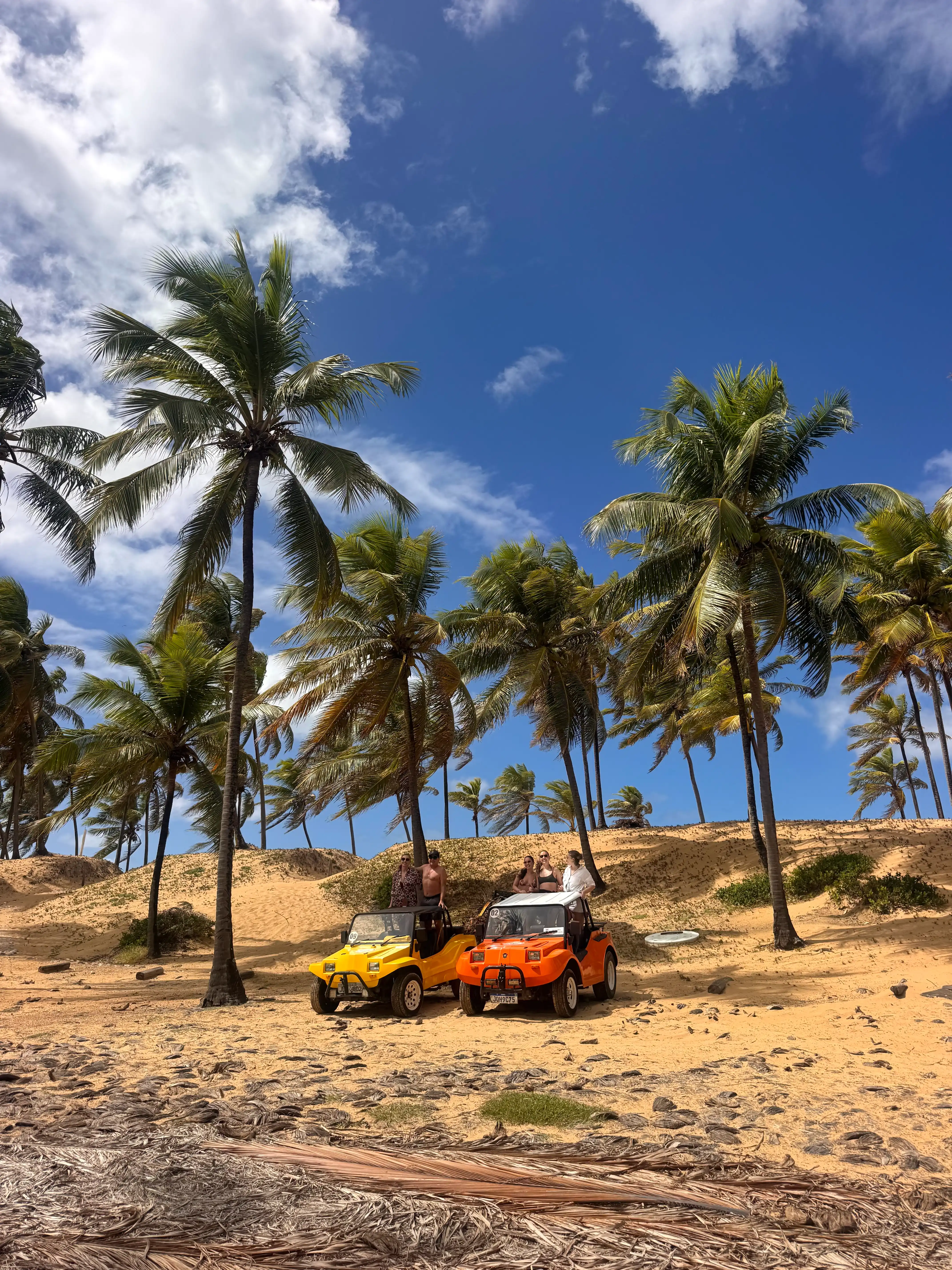 Buggy Praia do Forte e os coqueirais